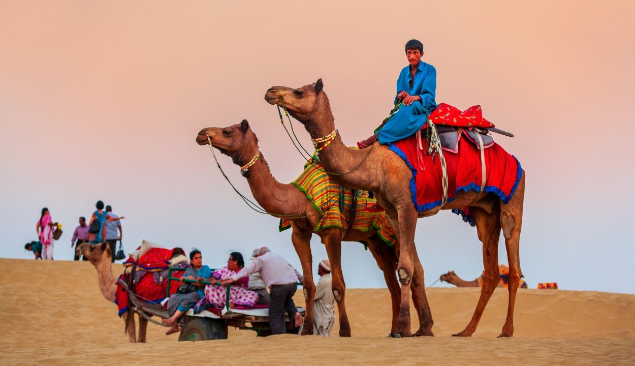 Rajasthan Tiger Safari Tour